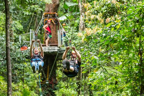 reddit cairns|cairns rainforest tour tips.